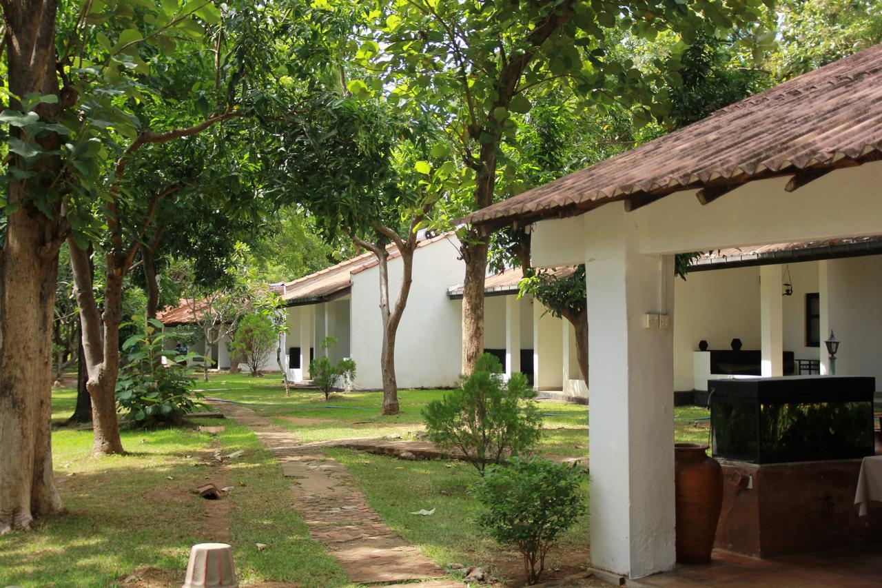 Dambulu Oya Family Park Hotel Dambulla Kültér fotó