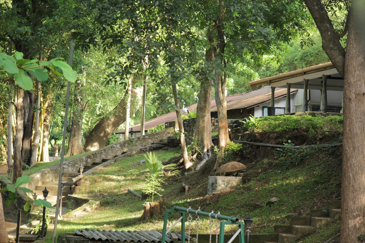 Dambulu Oya Family Park Hotel Dambulla Kültér fotó