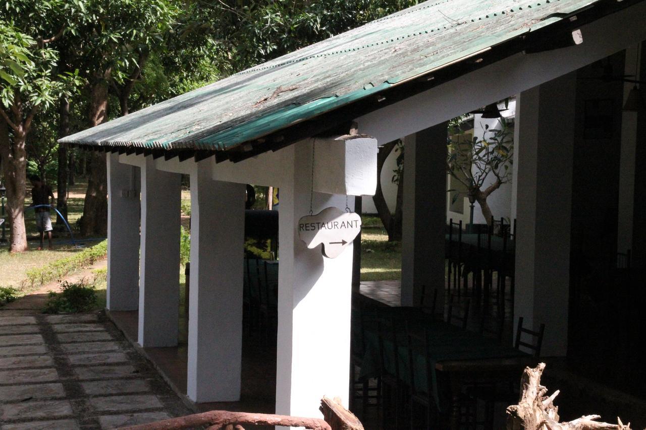 Dambulu Oya Family Park Hotel Dambulla Kültér fotó