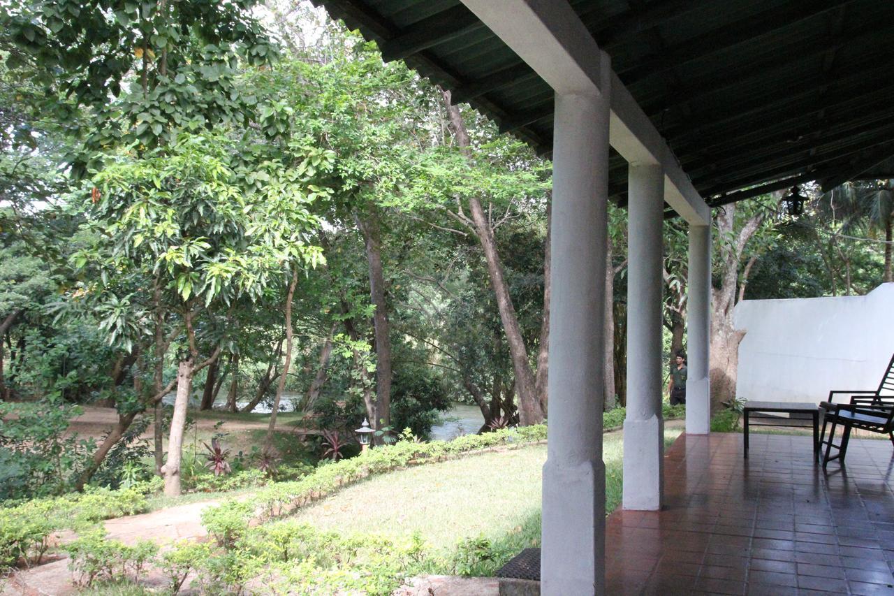 Dambulu Oya Family Park Hotel Dambulla Kültér fotó