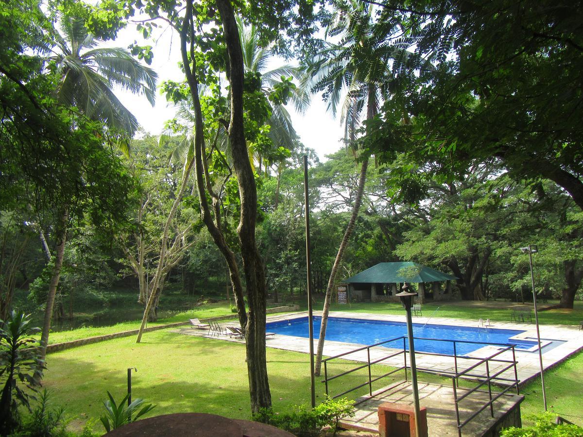 Dambulu Oya Family Park Hotel Dambulla Kültér fotó