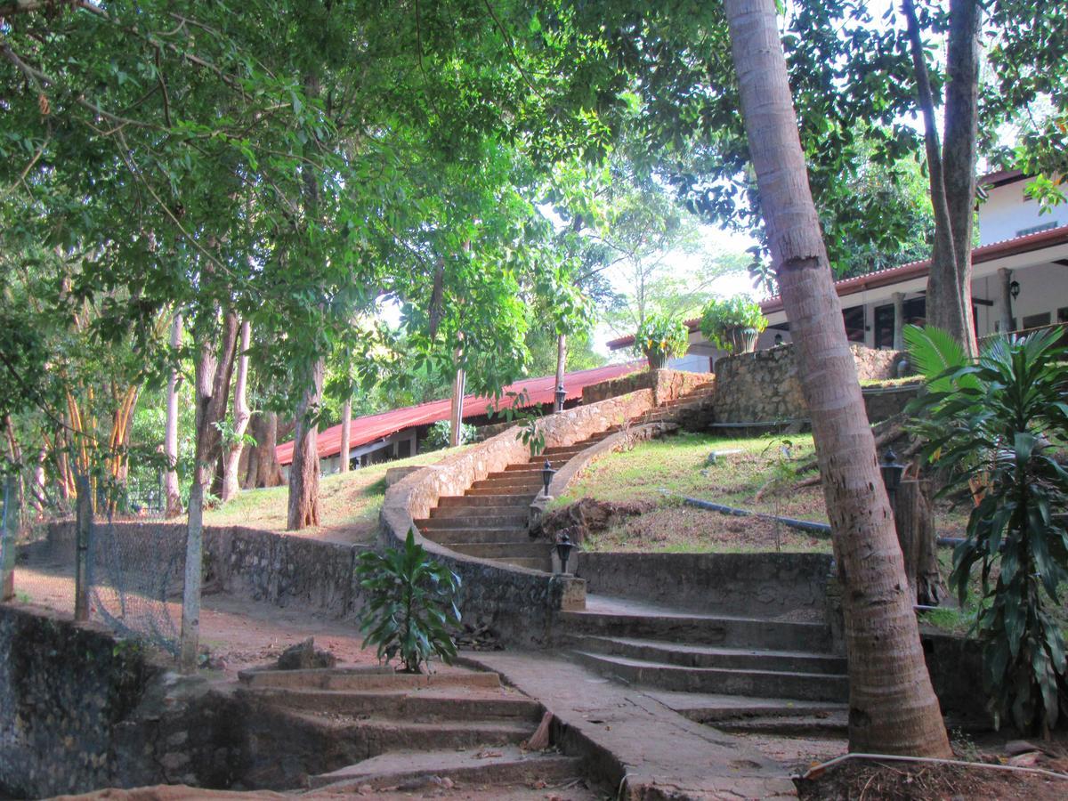 Dambulu Oya Family Park Hotel Dambulla Kültér fotó