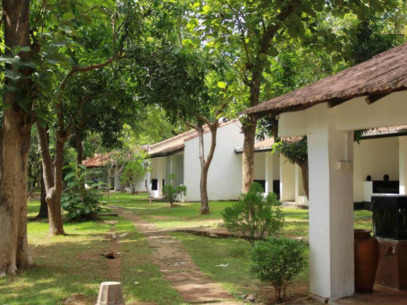 Dambulu Oya Family Park Hotel Dambulla Kültér fotó