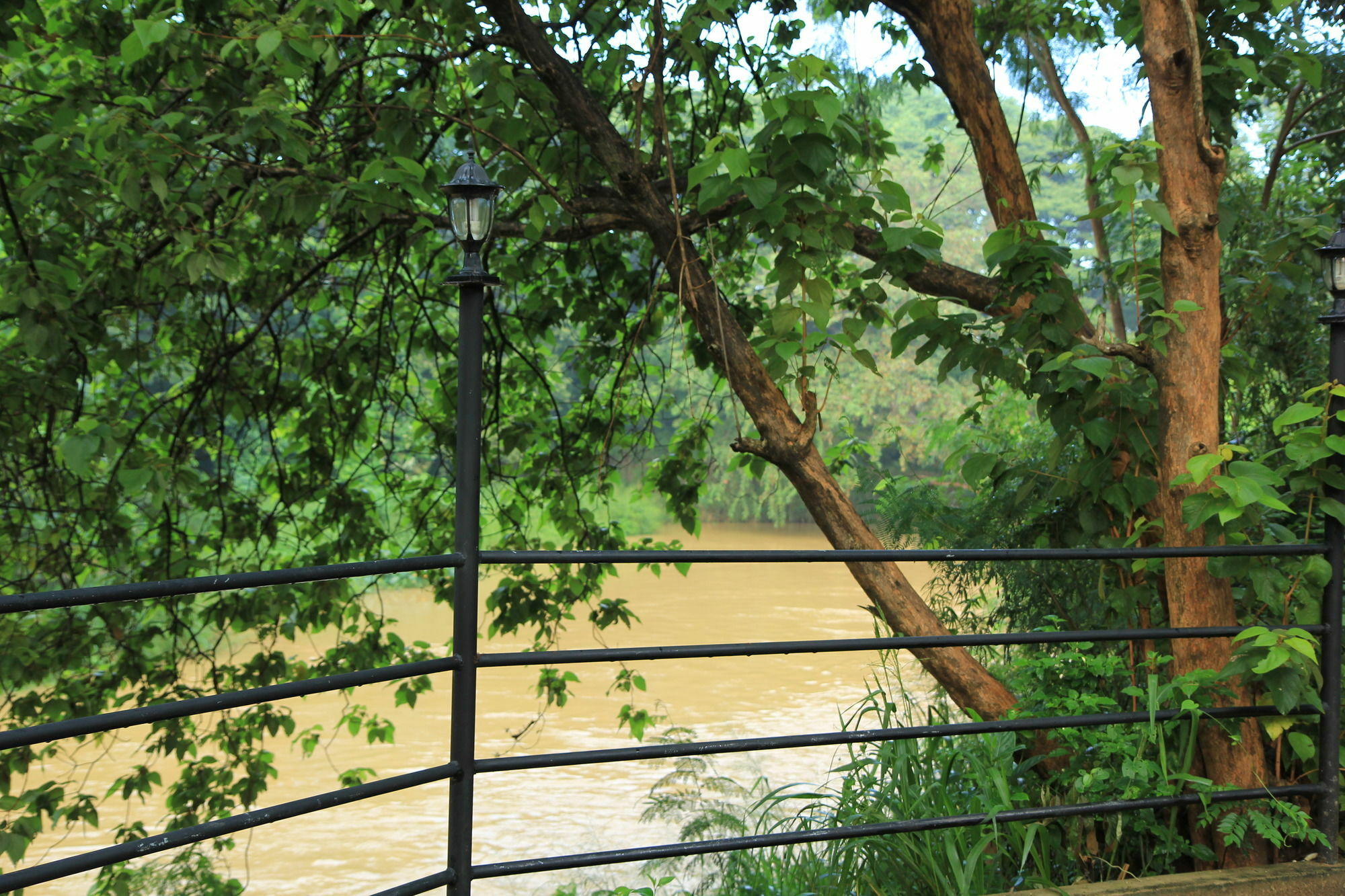 Dambulu Oya Family Park Hotel Dambulla Kültér fotó