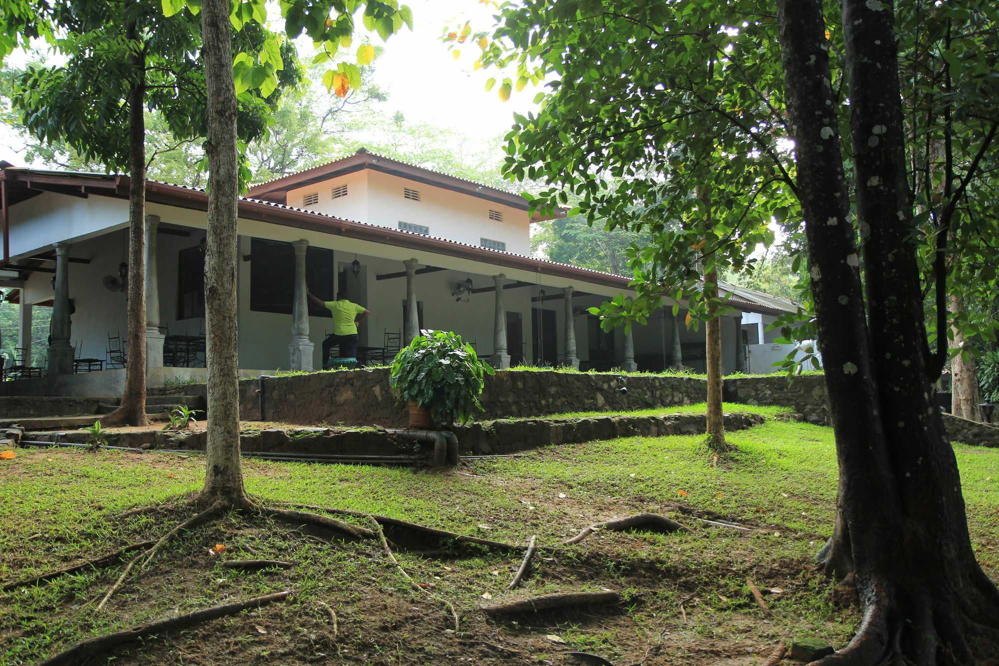 Dambulu Oya Family Park Hotel Dambulla Kültér fotó
