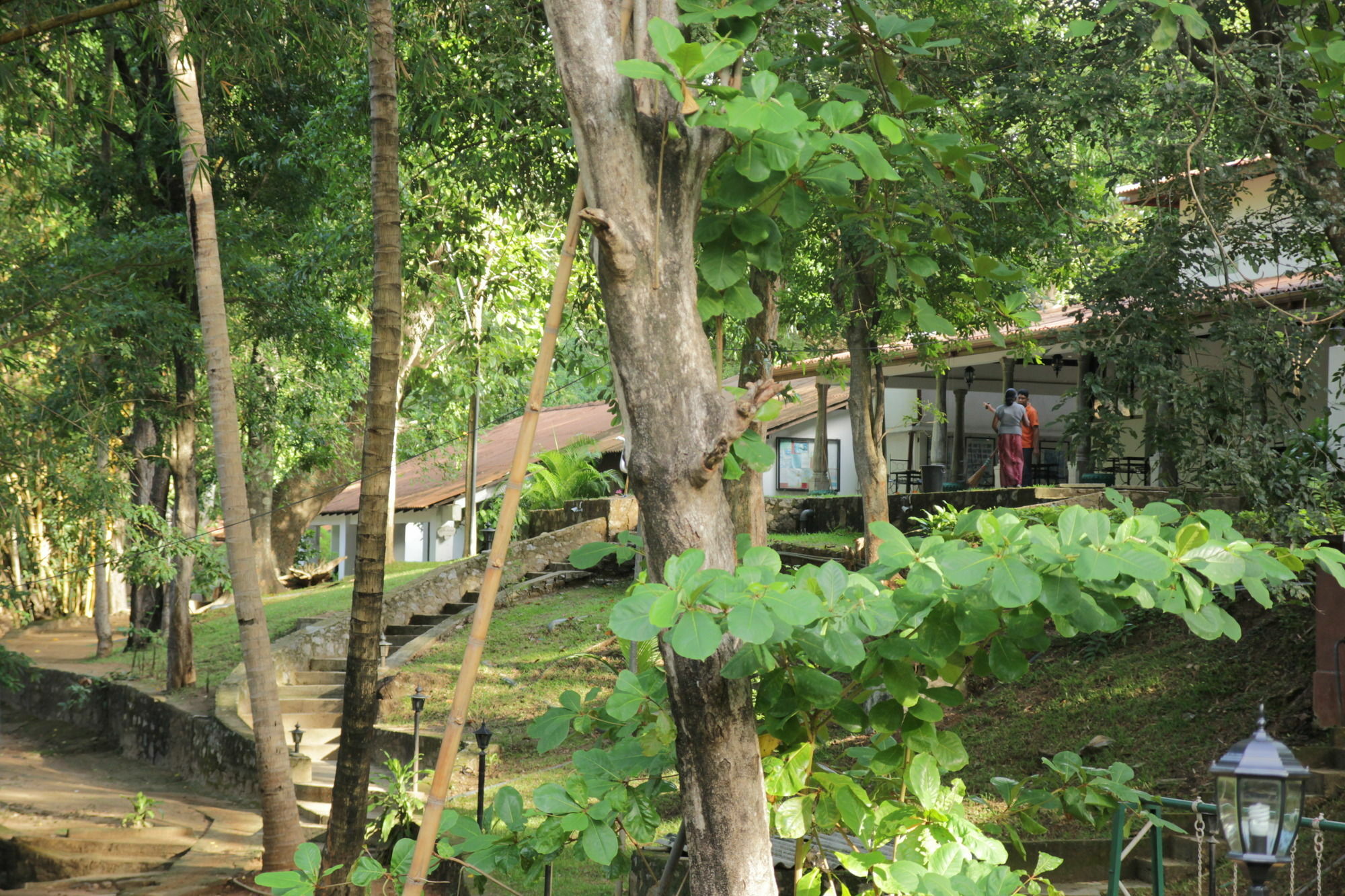 Dambulu Oya Family Park Hotel Dambulla Kültér fotó