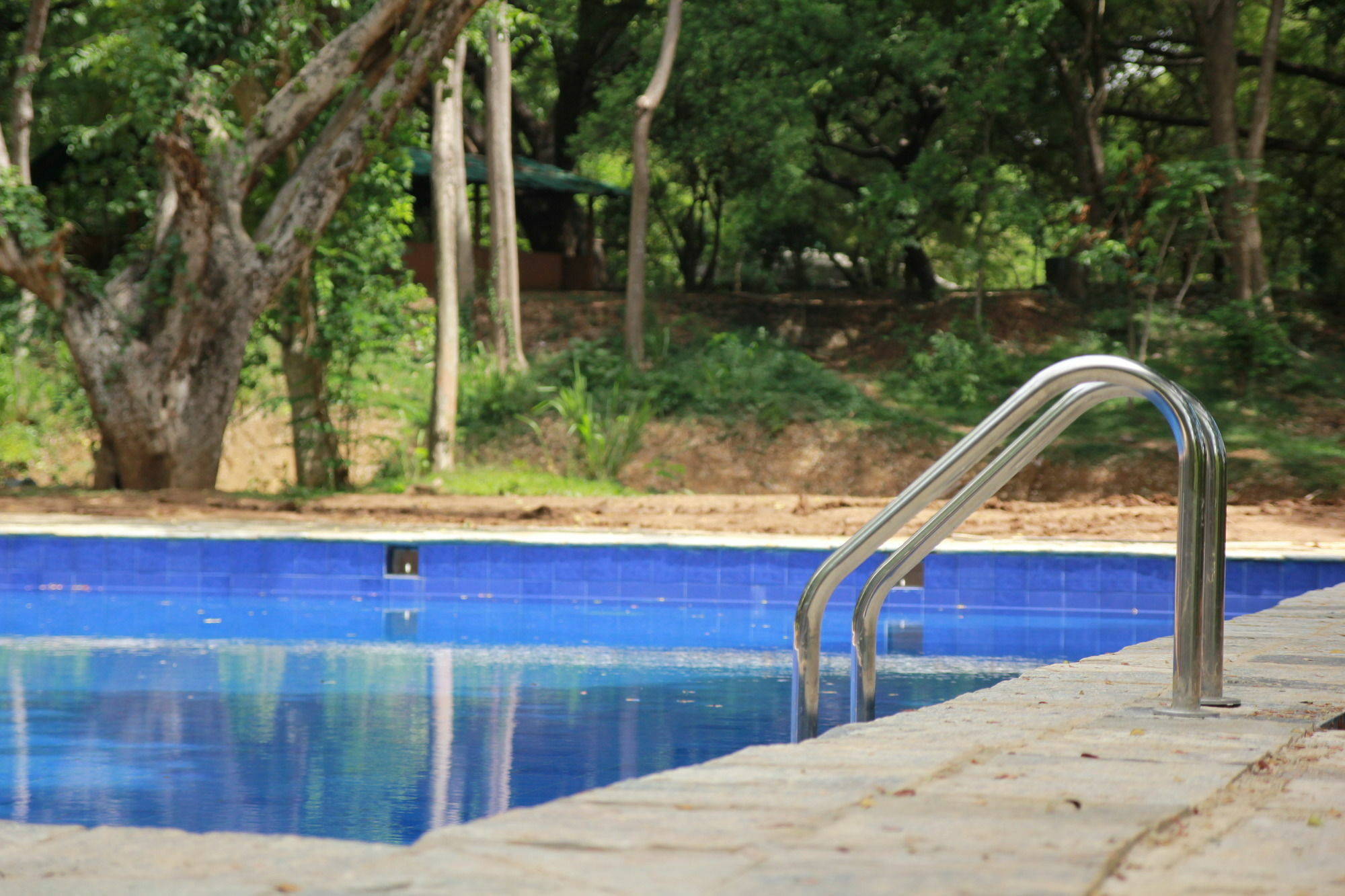 Dambulu Oya Family Park Hotel Dambulla Kültér fotó